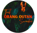 trek-orangoutan-sumatra